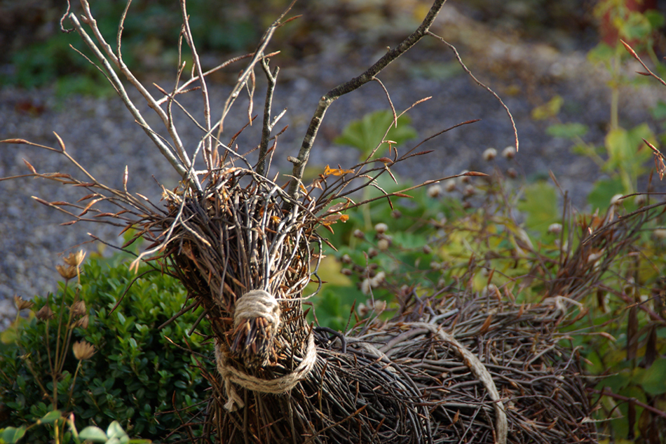 Hirsche im Wintergarten – Gartengeflüster – zarte Blüten für ein